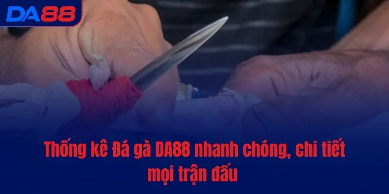 Thống kê Đá gà DA88 nhanh chóng, chi tiết mọi trận đấu 