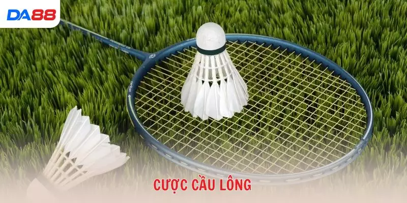 cược cầu lông