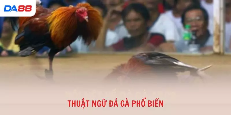 Thuật ngư đá gà phổ biến